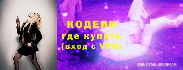 СК Ельня