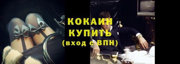 СК Ельня
