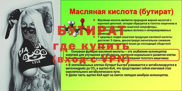 СК Ельня