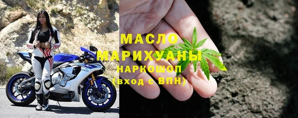 СК Ельня