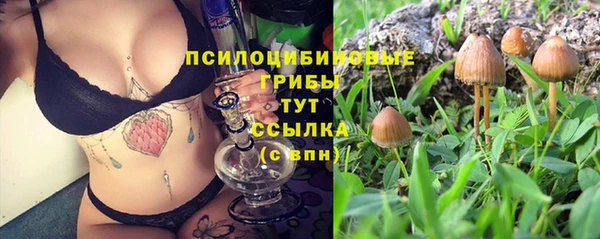 молекула духа Заволжье