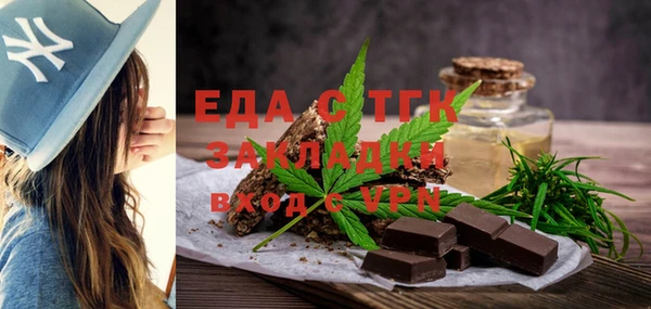 СК Ельня