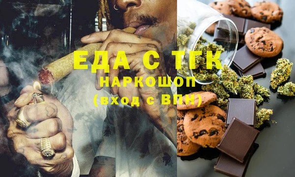 СК Ельня