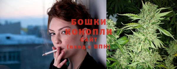 СК Ельня