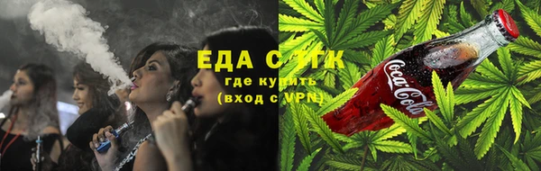 СК Ельня