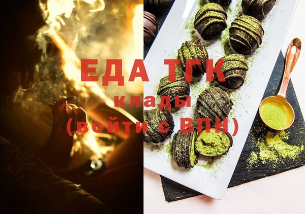 СК Ельня