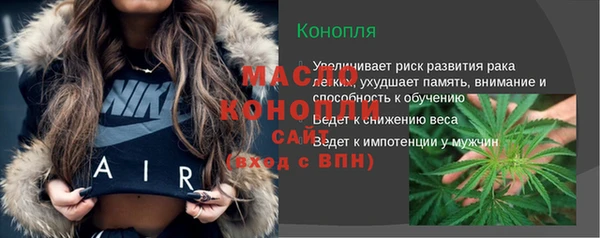СК Ельня